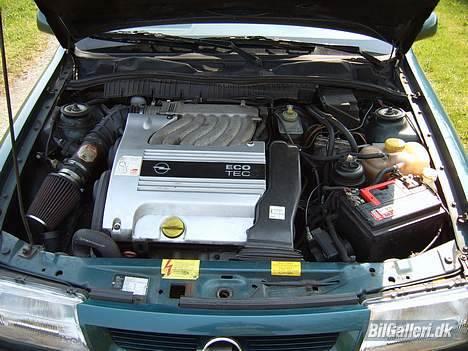 Opel Vectra A 2,5 V6 24V-SOLGT - Her er hjertet i bilen... en skøn lyd der kommer fra sådan en V6´er.... billede 10