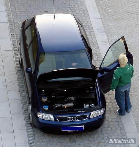 Audi A3 1.8T [Solgt] billede 13