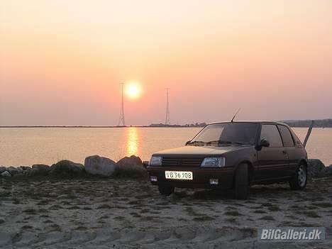 Peugeot 205 GTI projekt billede 6