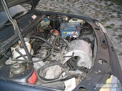 Peugeot 205 GTI projekt billede 13