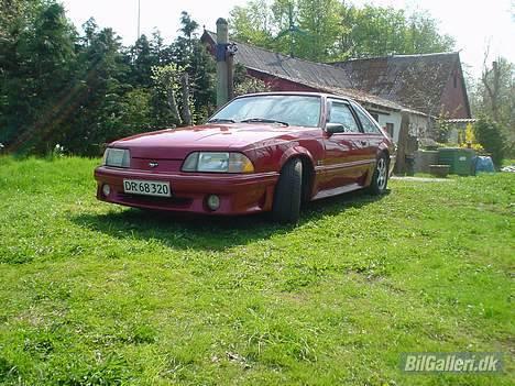 Ford Mustang GT billede 3