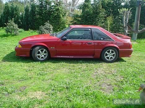 Ford Mustang GT - Skal ha hentet nogen nye højpoleret alu fælge hjem fra USA... billede 6