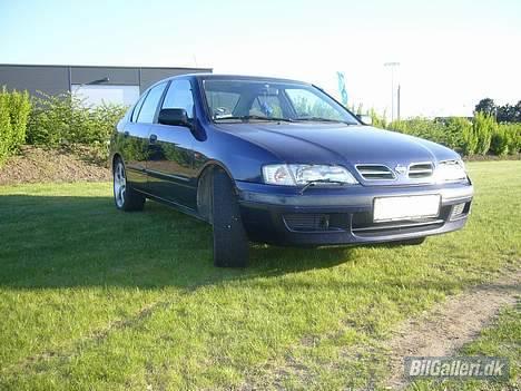 Nissan Primera billede 1