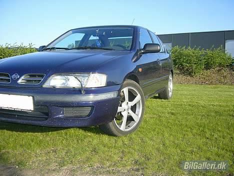 Nissan Primera billede 2
