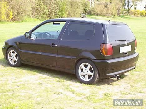 VW polo 6n billede 1