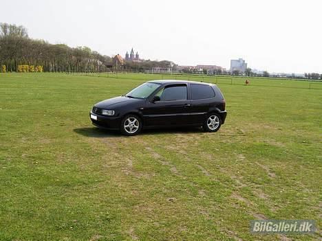 VW polo 6n billede 6