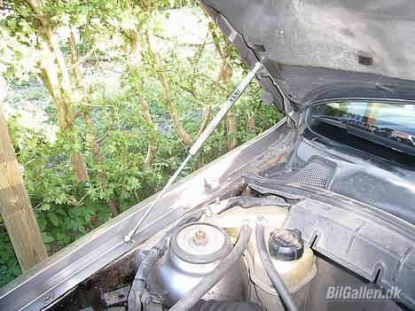 Opel vectra a gls - stød dæmper til mortor hjelmen gå op billede 5