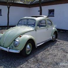 VW Type 1