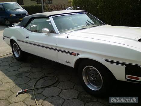 Amerikaner Mustang convertible billede 19