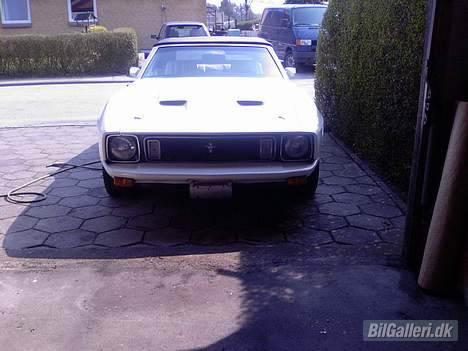 Amerikaner Mustang convertible billede 20