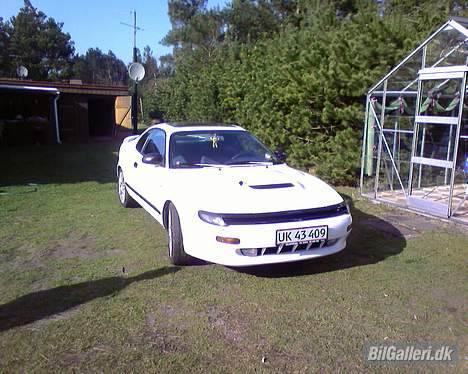 Toyota celica-jessica ( solgt) billede 2