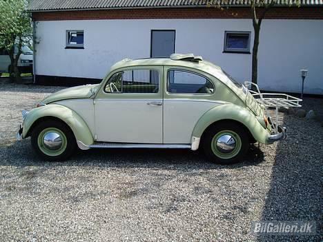 VW Type 1 billede 2