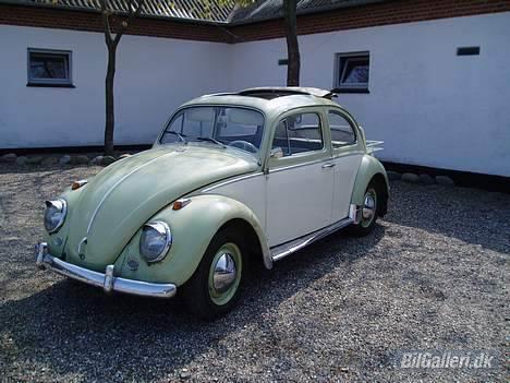 VW Type 1 billede 3
