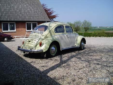 VW Type 1 billede 6