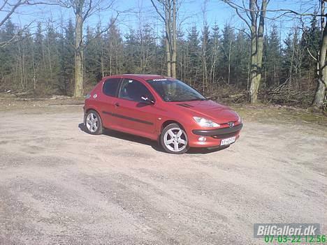 Peugeot 206 xt ** solgt ** - en tur i lunden billede 1