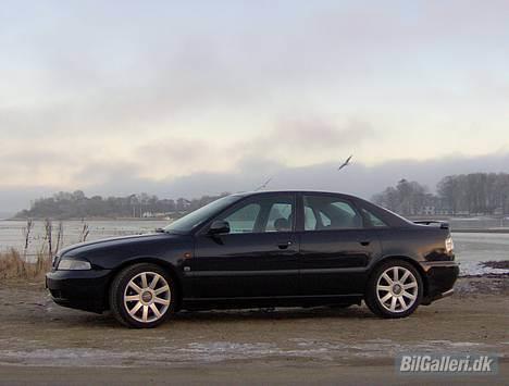 Audi A4 1,8 turbo  - sådan så bilen ud da jeg købte den tilbage i januar 06 billede 5