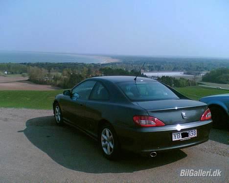 Peugeot 406 coupe V6 billede 2