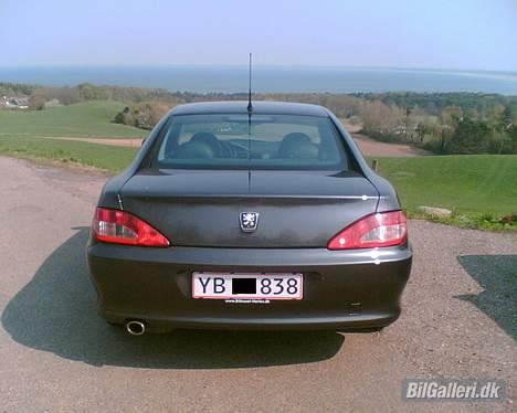 Peugeot 406 coupe V6 billede 4
