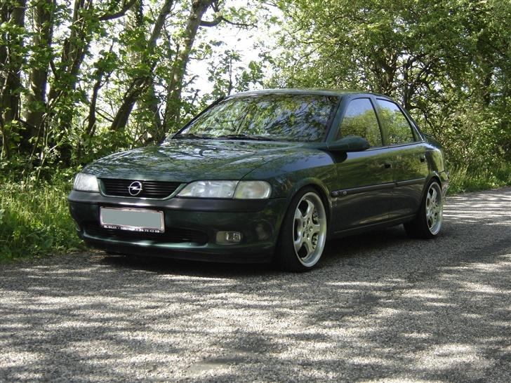 Opel Vectra B V6 CD (solgt) - den grønne i det grønne billede 15