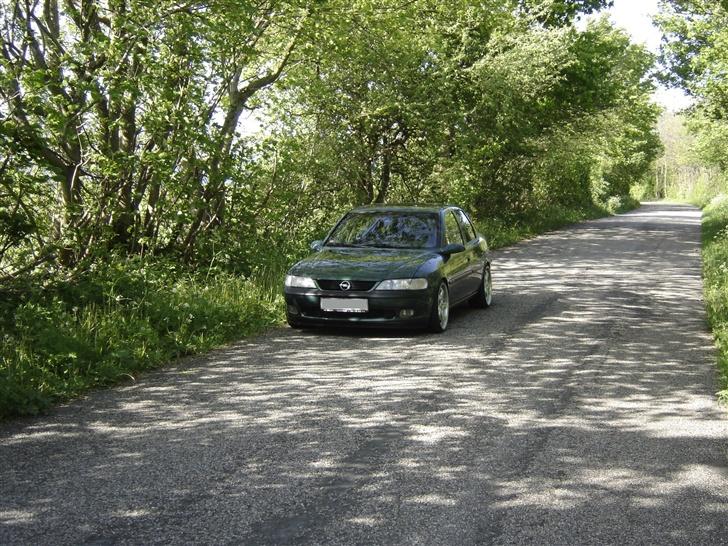 Opel Vectra B V6 CD (solgt) - den grønne i det grønne billede 16