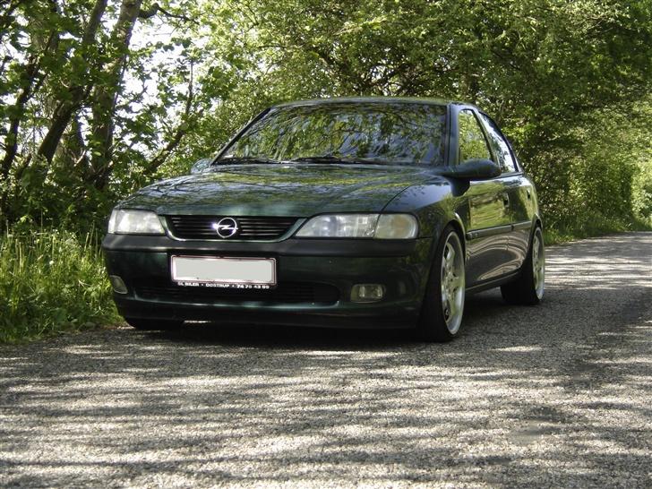 Opel Vectra B V6 CD (solgt) - den grønne i det grønne billede 20