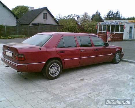 Mercedes Benz W124 - E250D Lang 6 Dørs - endnu et billed af en højrøvet fætter højben, eller snarre 1000 ben hehe. billede 12