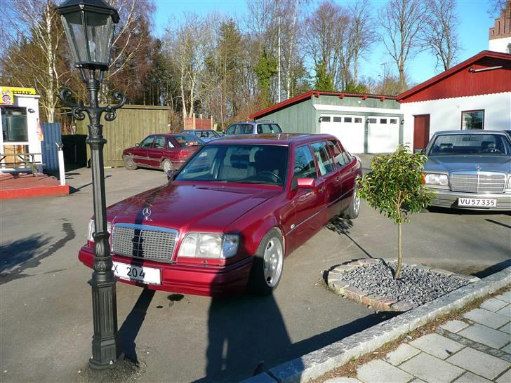 Mercedes Benz W124 - E250D Lang 6 Dørs - Hvilken langhals der holder med næsen i jorden. billede 13