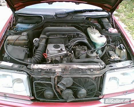 Mercedes Benz W124 - E250D Lang 6 Dørs - Det er så maskin rumet med 5 cylindre på 2.5 Liter og 114 HK billede 17