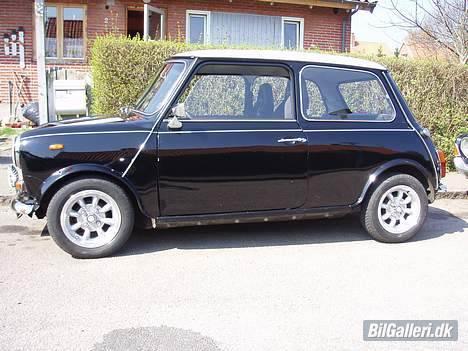 Mini morris maskot 1000 billede 9