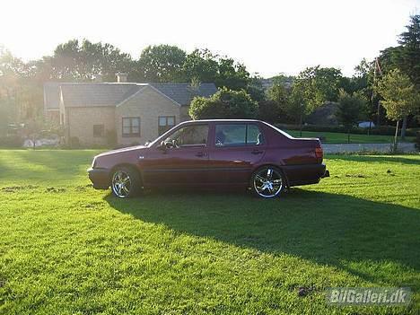 VW Vento GL billede 2