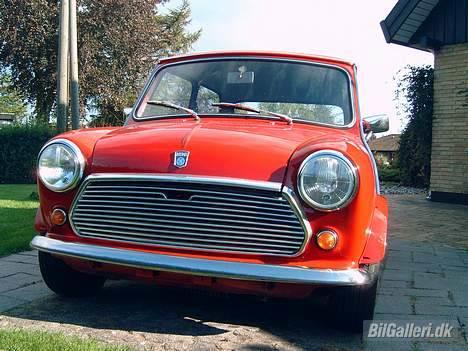 Mini mascot 1000 billede 1