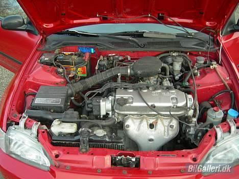 Honda Civic billede 6