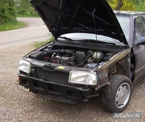 VW Vento R.I.P. billede 12