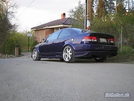 Honda Civic Si billede 2