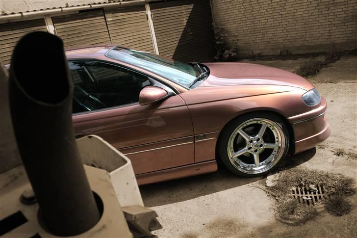 Opel Omega B V6 • Steinmetz • - foto sesion sammen med pro-street billede 4