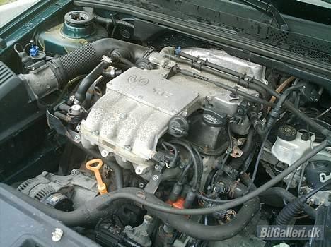 VW Vento 1,6. billede 13