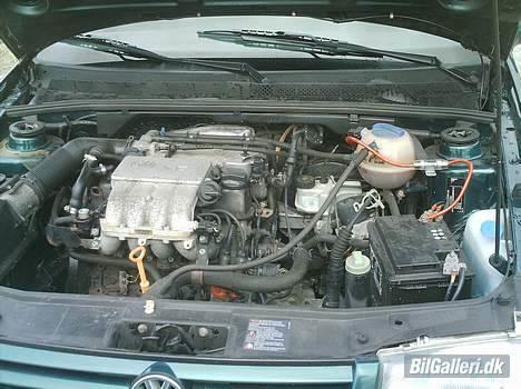 VW Vento 1,6. billede 14