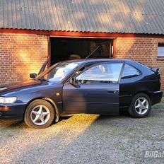 Toyota corolla champ