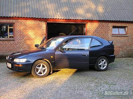 Toyota corolla champ billede 1