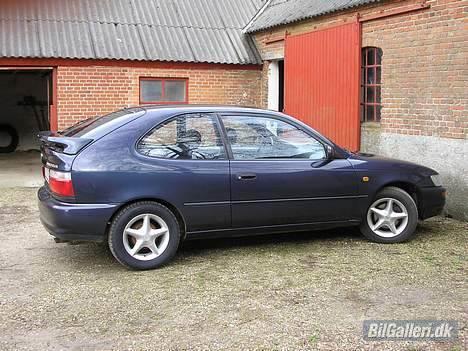 Toyota corolla champ billede 4