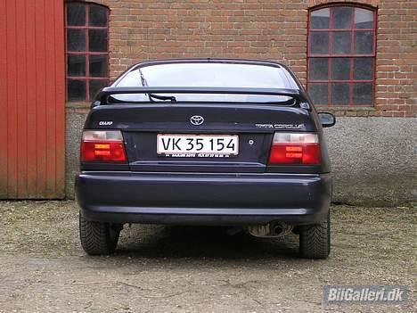 Toyota corolla champ billede 5