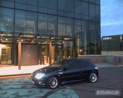 Peugeot 206 XS (SOLGT) billede 14