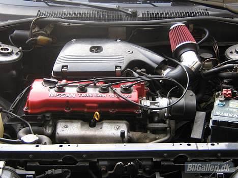 Nissan sunny (SOLGT) billede 2