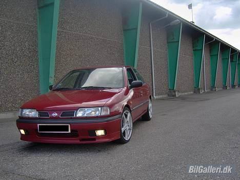 Nissan Primera 2,0 LX Topline billede 2