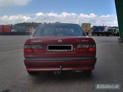 Nissan Primera 2,0 LX Topline billede 5