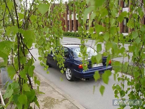 Ford Mondeo * Celebration  billede 3