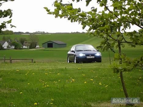 Ford Mondeo * Celebration  billede 12