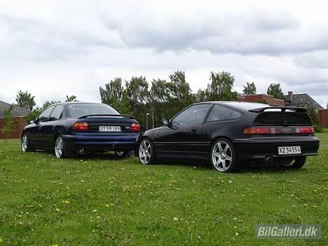 Ford Mondeo * Celebration  billede 15