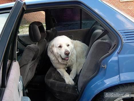 Opel ascona c 2,0i  billede 9