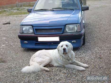 Opel ascona c 2,0i  billede 10